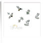 Aretes (TAC)